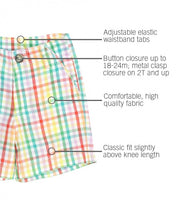 Cargar imagen en el visor de la galería, Rainbow Gingham Shorts & Lemon Pocket Henley Set