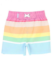 Cargar imagen en el visor de la galería, Rainbow Multi-Stripe Swim Trunks
